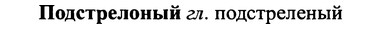 img/25/25-318_1714_Подстрелоный.jpg