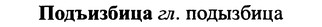 img/25/25-347_1841_Подъизбица.jpg