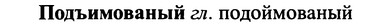 img/25/25-347_1843_Подъимованый.jpg