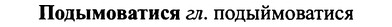 img/25/25-353_1872_Подымоватися.jpg
