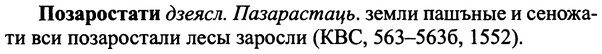 img/25/25-402_2179_Позаростати.jpg