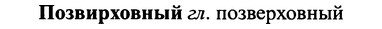 img/25/25-410_2235_Позвирховный.jpg