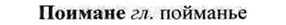 img/26/26-021_0099_Поимане.jpg
