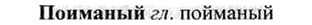 img/26/26-021_0101_Поиманый.jpg