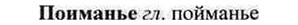 img/26/26-021_0102_Поиманье.jpg