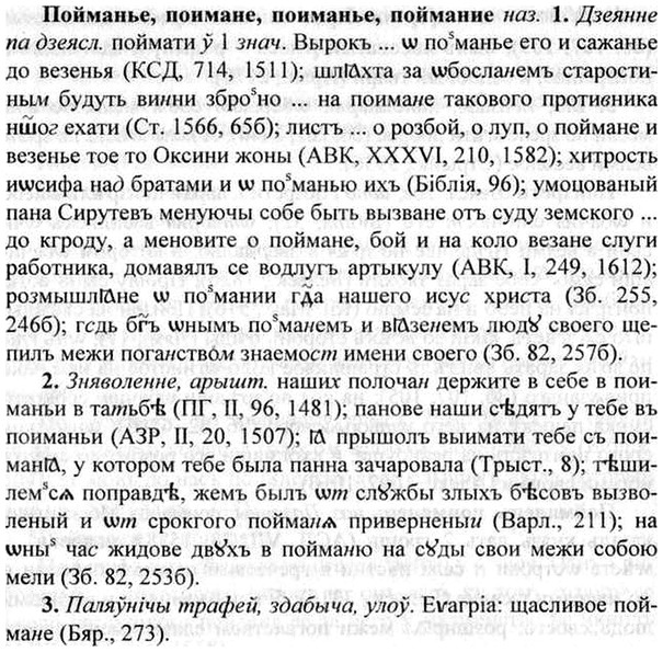 img/26/26-026_0132_Пойманье.jpg