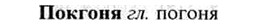 img/26/26-052_0226_Покгоня.jpg
