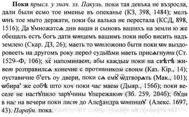 img/26/26-053_0236_Поки.jpg