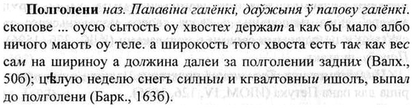 img/26/26-116_0616_Полголени.jpg