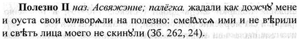 img/26/26-129_0669_Полезно.jpg