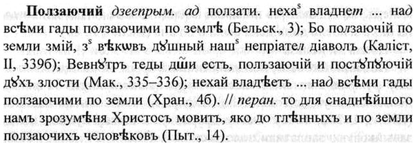 img/26/26-140_0730_Ползаючий.jpg
