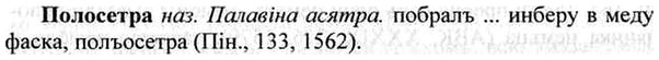 img/26/26-194_0971_Полосетра.jpg