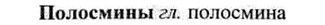 img/26/26-196_0980_Полосмины.jpg