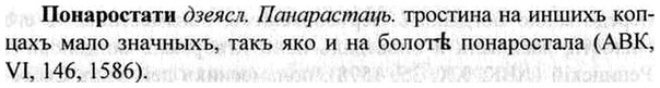 img/26/26-308_1688_Понаростати.jpg