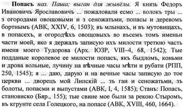 img/26/26-353_1991_Попасъ.jpg