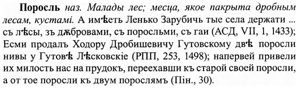 img/27/27-024_0117_Поросль.jpg