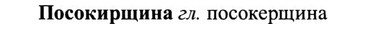img/27/27-142_0647_Посокирщина.jpg