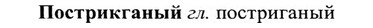 img/27/27-225_0942_Пострикганый.jpg