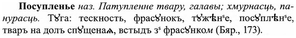 img/27/27-247_1015_Посупленье.jpg