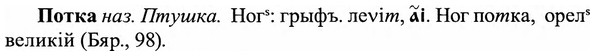 img/27/27-285_1232_Потка.jpg