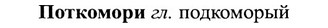 img/27/27-289_1242_Поткомори.jpg