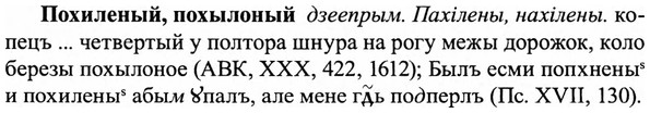 img/27/27-378_1628_Похиленый.jpg