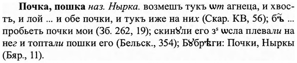 img/27/27-412_1819_Почка.jpg
