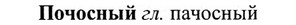 img/27/27-413_1827_Почосный.jpg