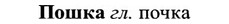 img/27/27-425_1909_Пошка.jpg