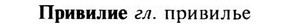 img/28/28-201_1222_Привилие.jpg