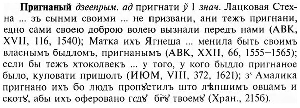img/28/28-235_1374_Пригнаный.jpg