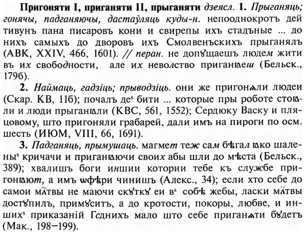 img/28/28-243_1408_Пригоняти.jpg