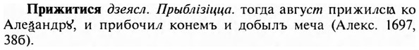 img/28/28-266_1538_Прижитися.jpg