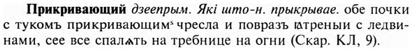img/28/28-312_1730_Прикривающий.jpg
