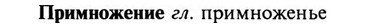 img/28/28-343_1901_Примножение.jpg