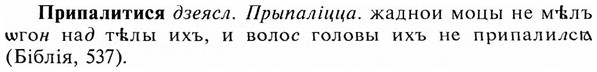 img/28/28-391_2105_Припалитися.jpg