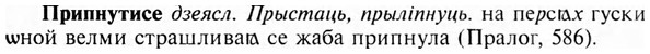 img/28/28-402_2171_Припнутисе.jpg