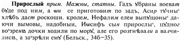img/28/28-439_2388_Прирослый.jpg