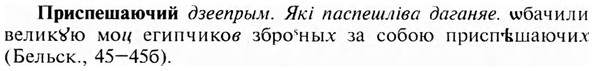 img/28/28-460_2528_Приспешаючий.jpg