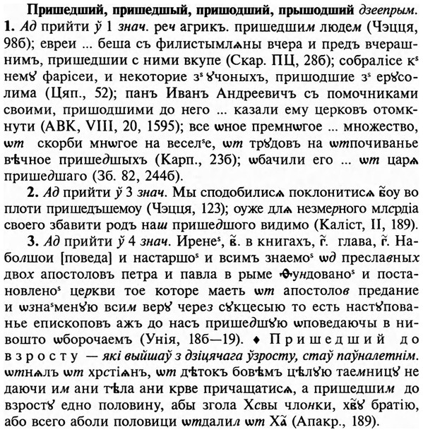 img/29/29-085_0296_Пришедший.jpg
