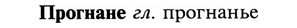 img/29/29-130_0512_Прогнане.jpg