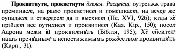 img/29/29-167_0721_Проквитнути.jpg