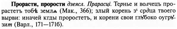 img/29/29-208_1007_Прорасти.jpg