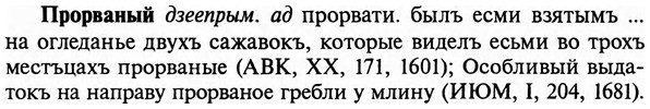 img/29/29-209_1010_Прорваный.jpg