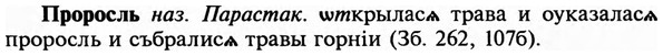 img/29/29-213_1047_Проросль.jpg