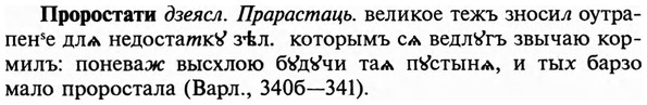 img/29/29-213_1048_Проростати.jpg