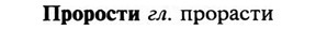 img/29/29-213_1049_Прорости.jpg