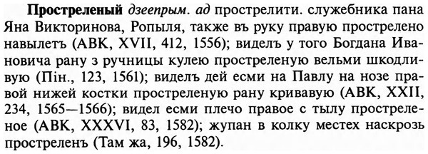 img/29/29-236_1195_Простреленый.jpg