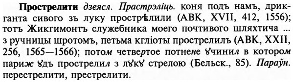 img/29/29-236_1196_Прострелити.jpg