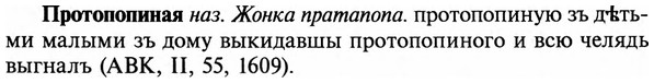img/29/29-263_1301_Протопопиная.jpg